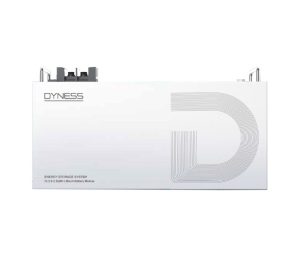 Аккумуляторная батарея LiFePO4 Dyness DL2.5, 25.6V/100Аh (2,56kWh)