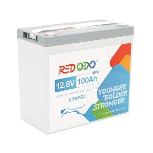 Аккумуляторная батарея LiFePO4 Redodo 12.8V 100Ah, 1280Wh, BMS 100A
